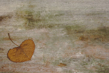 Heart shaped dried leaf on top of a rustic wood table, with copy space. Concept for love and autumn season