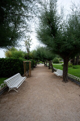 Green gardens in the middle of summer in Donostia