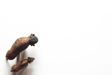 toy bison. animal of plastic material isolated on white background