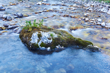 small world is located on a boulder sticking out in the middle of a mountain river