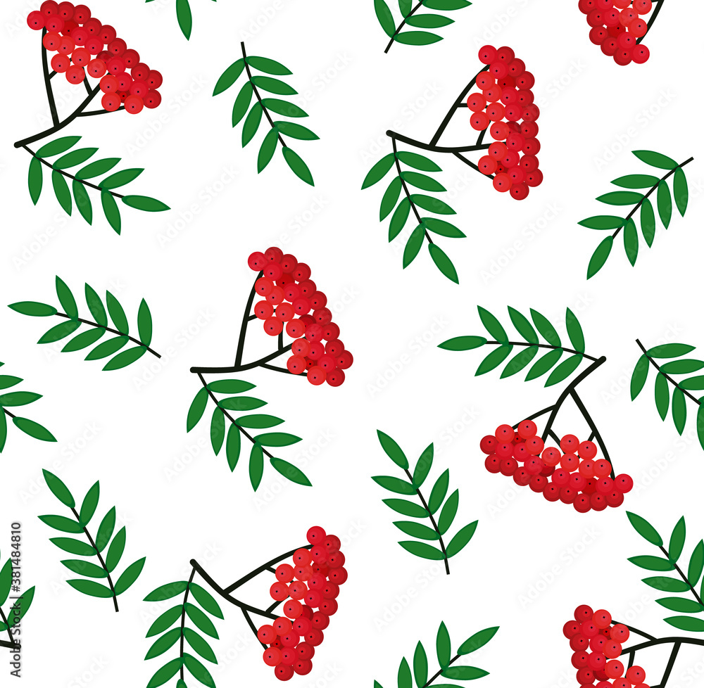 Poster seamless pattern with bunches of rowan berries on a white background. vector sketch. use for packagi