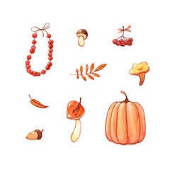 mushrooms, rowan beads, pumpkin and autumn leaves