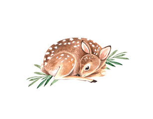 cute animal young fawn lying on green branches, watercolor illustration on white background © Lana