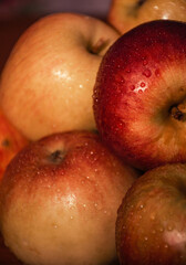 harvest of ripe apples