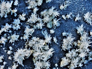 Frost blooms