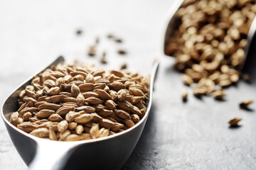 Scoop with malt on a gray concrete surface.