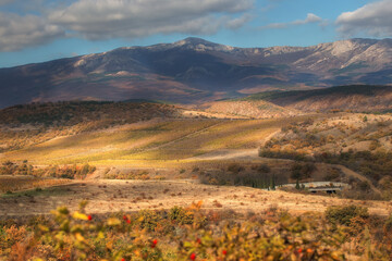 Beautiful autumn landscape with mountains and hills. Bright colors of autumn. Blue sky in clouds, mountain tops in clouds, yellow vineyards, valley is Sunny.