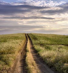 Fototapeta na wymiar Straight And Long Rural Path Crosses Grass Land Of The Sicily Agriculture At The Sunset