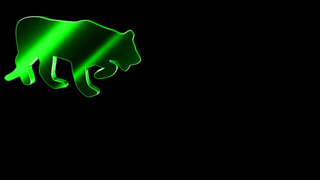 Animals 099