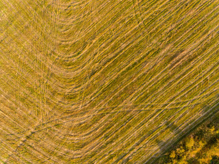 Aerial view of patterns in agricultural fields after harvest