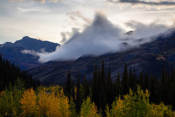 Beautiful View of Colourful Fall Forest and Mountains at Sunrise in on a Cloudy Morning. Tombstone Territorial Park, Yukon, Canada.