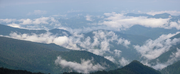 Fototapeta premium Summer misty and cloudy morning mountain tops with low clouds. Marmaros Carpathian, Ukraine.