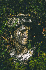 Bust of David in a bush