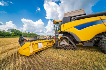 Obraz premium Yellow grain harvesting combine in a sunny day. Gold field with grain. Agricultural technic works in field. Closeup.