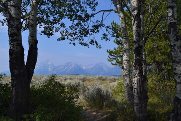 Tetons
