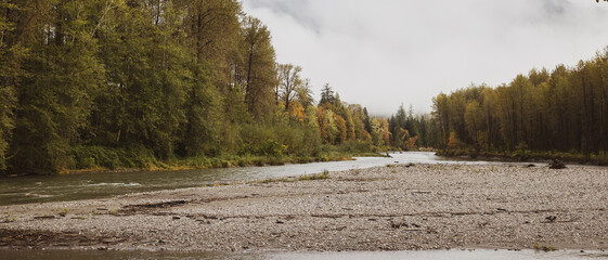 Washington State river flowing under a forest filled with Fall colored trees