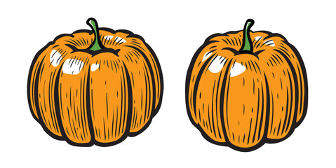 Pumpkin symbol. Vegetables cartoon vector illustration