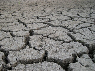 Terre s&eacute;ch&eacute;e