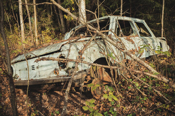 old car abandoned in the forest/Old car in the woods.