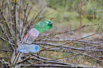 plastic bottles in the forest on a branch