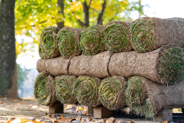 Close up of pallets with sod turf grass, rolled grass lawn is ready for laying. Lawn service. 