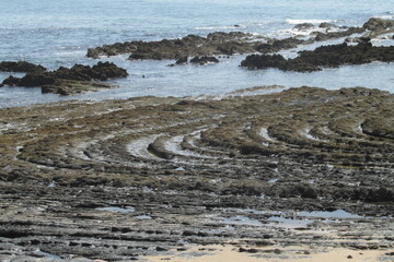 rocas sedimentarias de tipo flysch en el Sur de Portugal en el Argarve