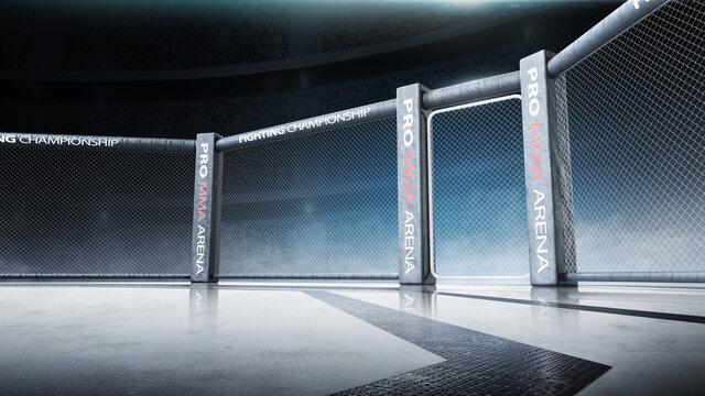 Side Scene View Under Lights. Fighting Championship. Fight Night. MMA Octagon. 3D Rendering