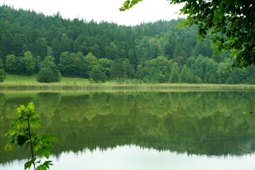 Lake close to Füssen, with forest and reflection on a rainy autumn day
