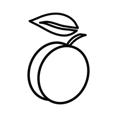 Peach vector outline illustration in minimalistic style on white background