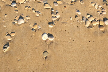 Background on the beach on the sand of wet stones.

