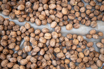 Organic fresh walnuts with shells laid on the floor to dry