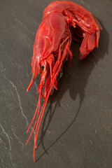 large raw red king prawn on a black background close up