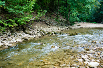 Beautiful landscape mountain river flowing in the forest. Guamka nature, Krasnodar region, Russia