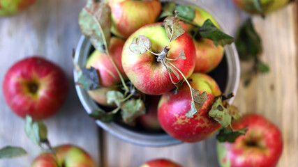 Fresh apples in a bowl on a wooden surface. Harvest apples.
