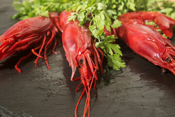 large raw red king prawns on a black background close up with a bunch of fresh parsley