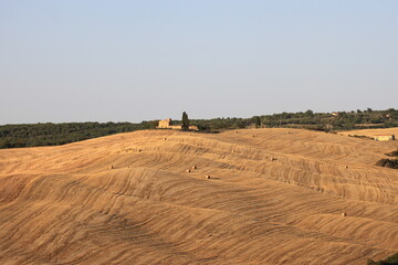 Obraz premium Crete der Toscana