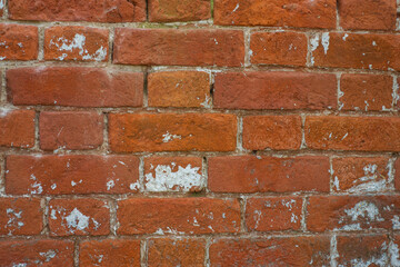 brick wall with remnants of plaster