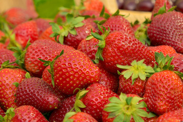 strawberries are fresh against the background of nature a lot of ripe berries