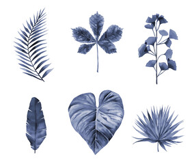 Abstract blue set of leaves. Plants in winter mood. Watercolour botanical illustration on white background.
