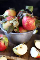 Naklejka na ściany i meble Fresh apples in a bowl on a dark surface. Harvest apples.