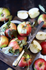 Fresh apples in a bowl on a dark surface. Harvest apples.