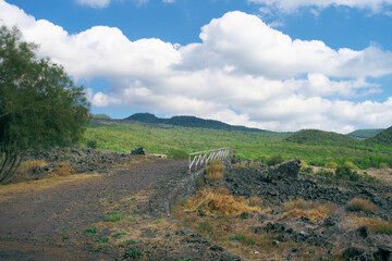 Volcanic Landscape Of Sicily With Dirt Road And Forest Of Oak Trees In Etna Park Unesco World Heritage