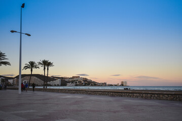 Palm trees on the coast