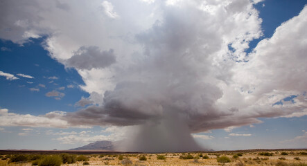 Fototapeta na wymiar Desert Rain Storm, Namibia