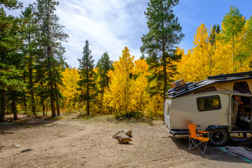 A hiking trail passes through a dispersed campsite in fall with changing aspen trees located...