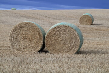 Hay bales near Black Diamond Alberta.