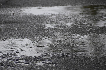 puddles in the rain