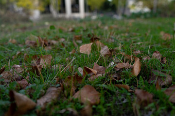 Llegada del otoño 