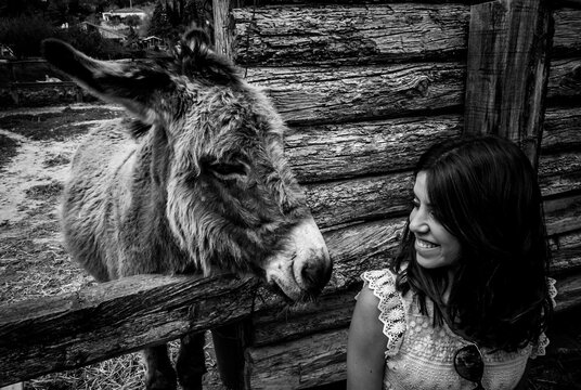 Simpat&iacute;a y amor animal.
Animal sympathy and love
