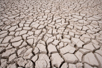 Cracked Pool,  Etosha National Park, Namibia